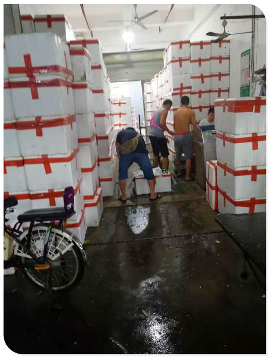 首页-PA集团有限公司官网入口