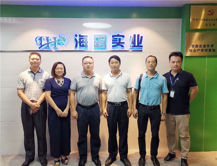 首页-PA集团有限公司官网入口