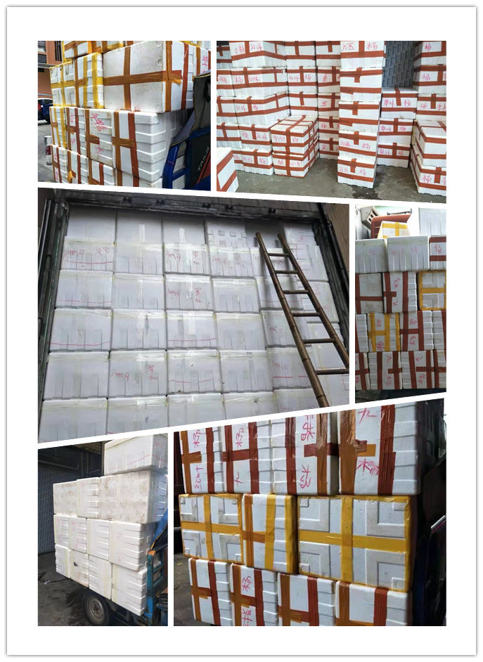 首页-PA集团有限公司官网入口