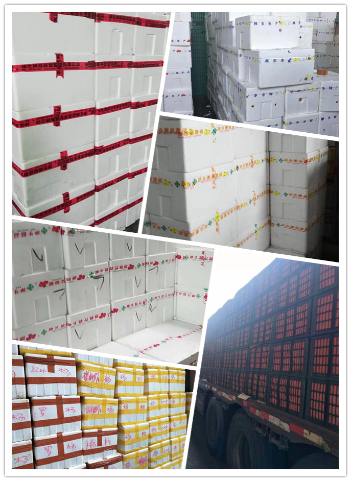 首页-PA集团有限公司官网入口