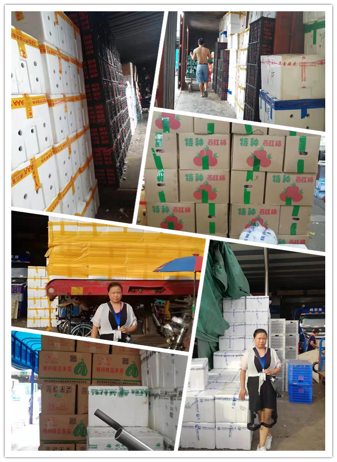 首页-PA集团有限公司官网入口