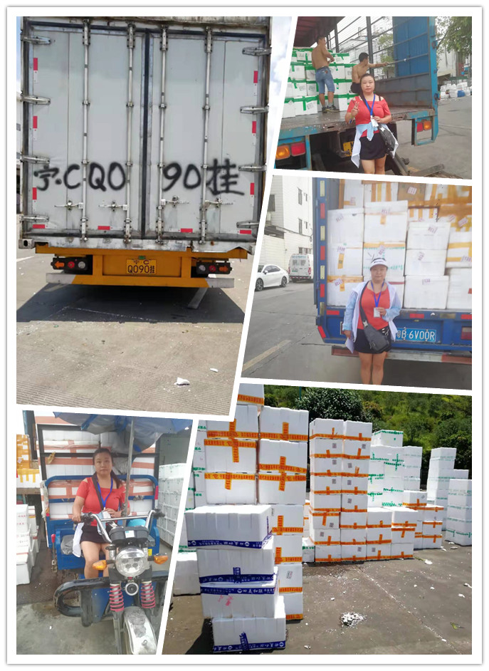 首页-PA集团有限公司官网入口