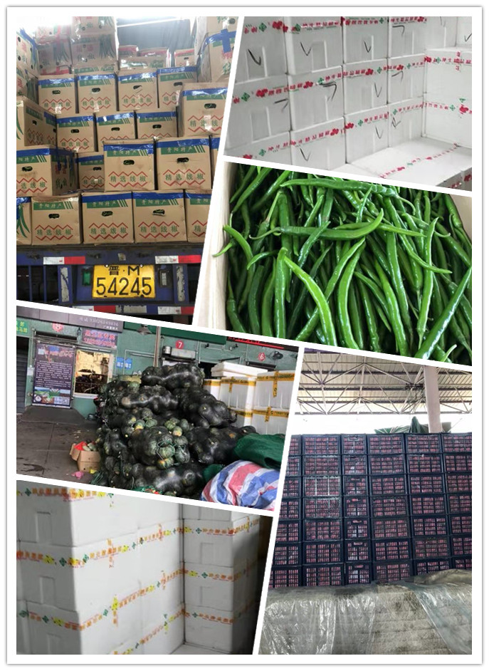 首页-PA集团有限公司官网入口