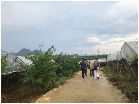 首页-PA集团有限公司官网入口