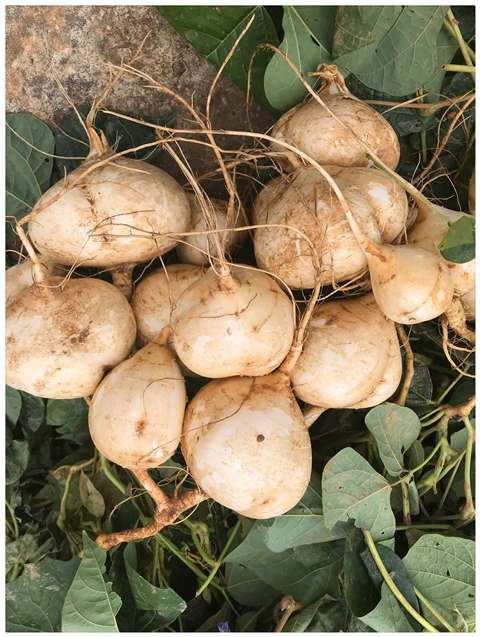 首页-PA集团有限公司官网入口