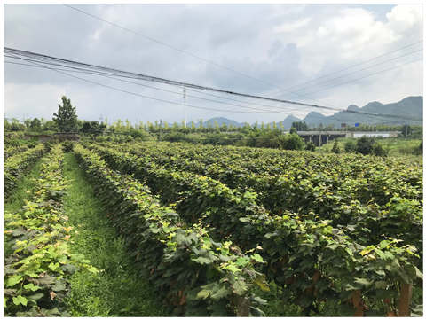 首页-PA集团有限公司官网入口