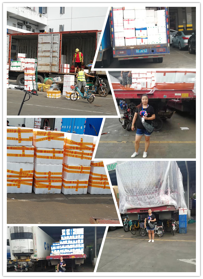 首页-PA集团有限公司官网入口