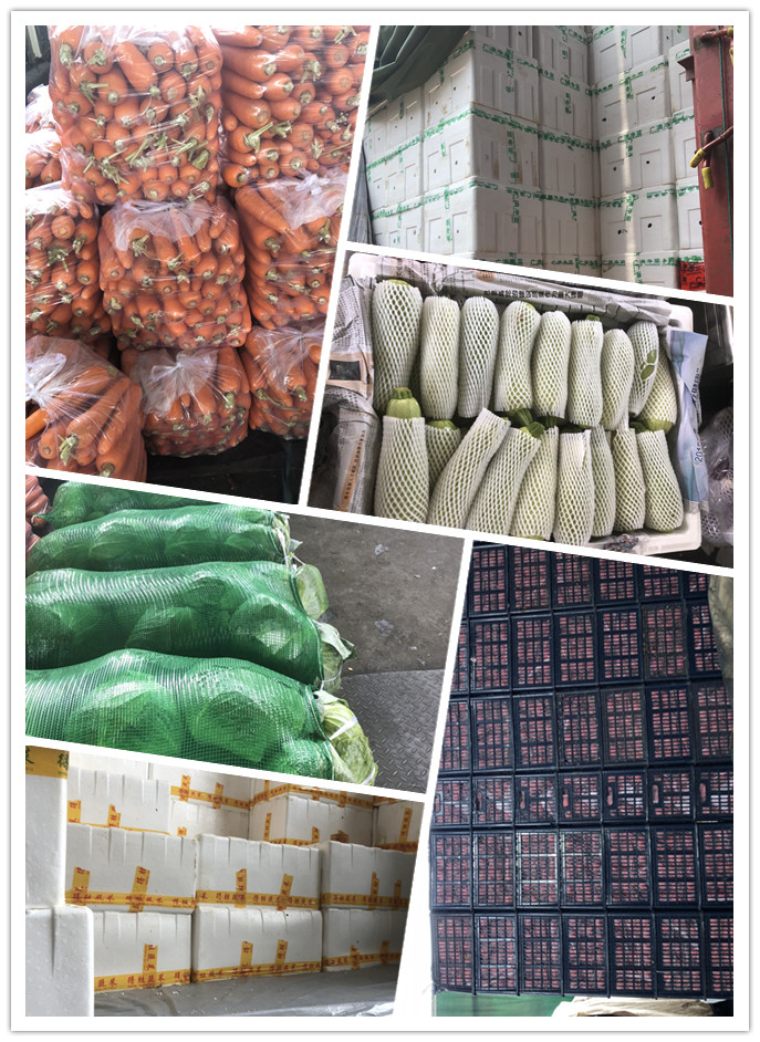 首页-PA集团有限公司官网入口