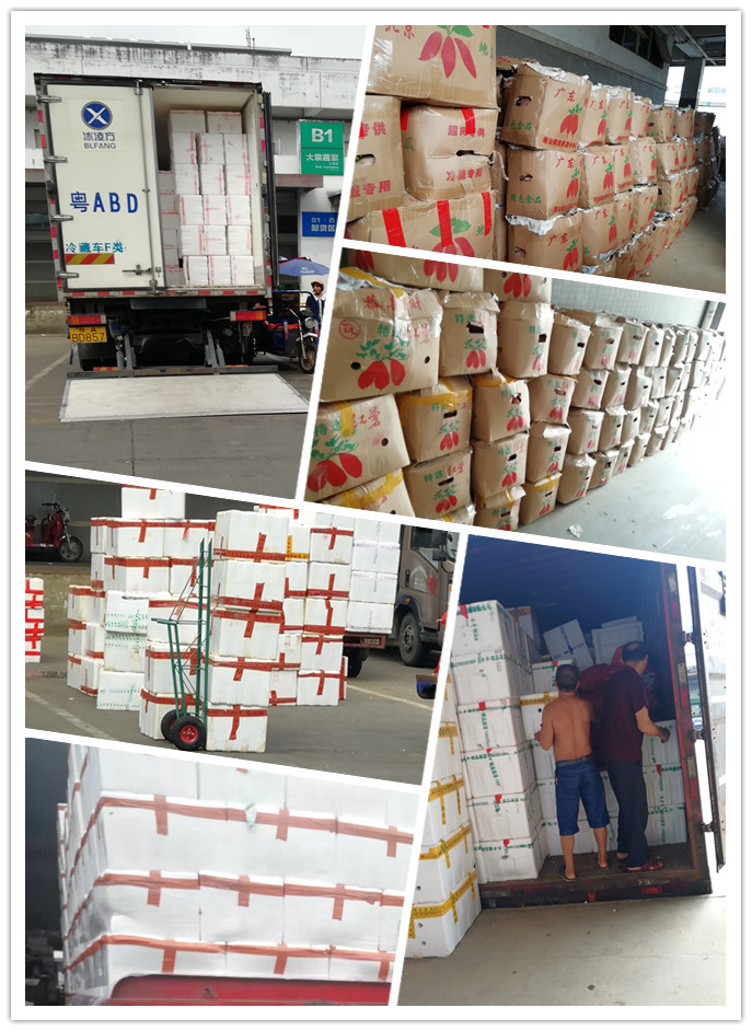 首页-PA集团有限公司官网入口