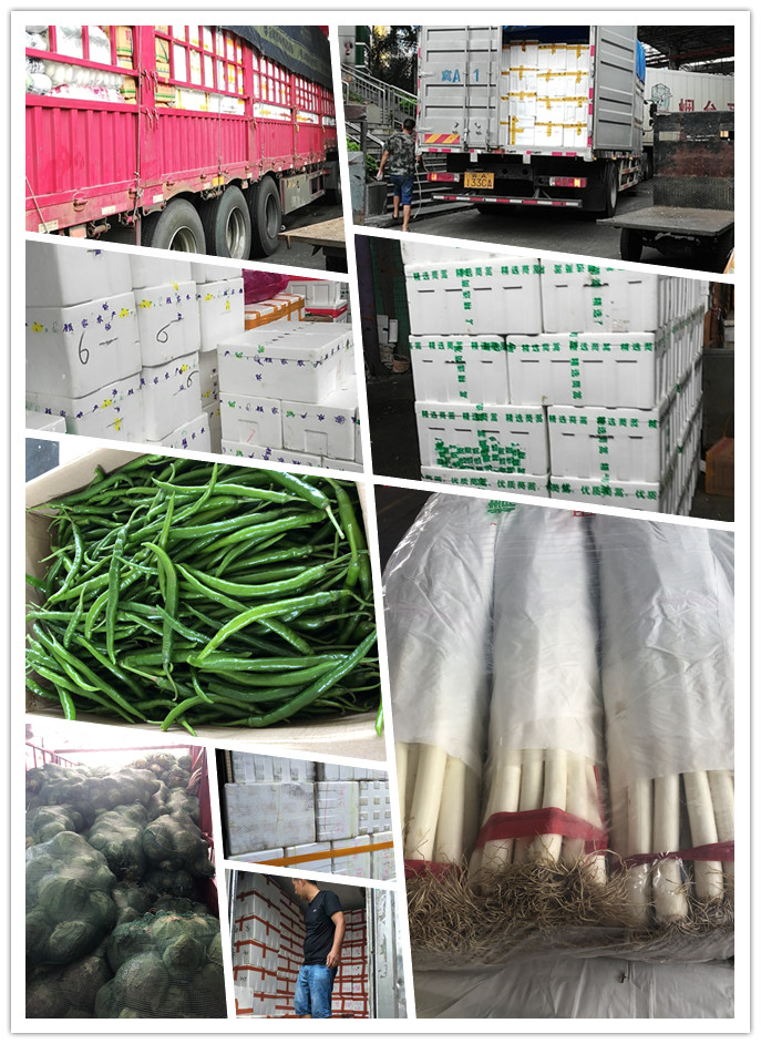 首页-PA集团有限公司官网入口