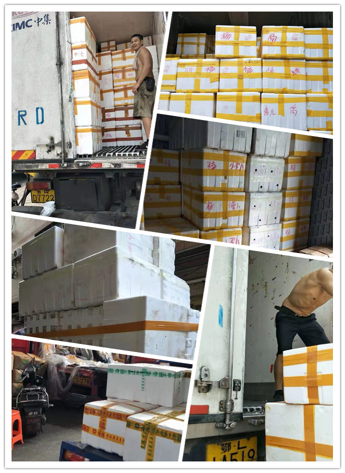 首页-PA集团有限公司官网入口