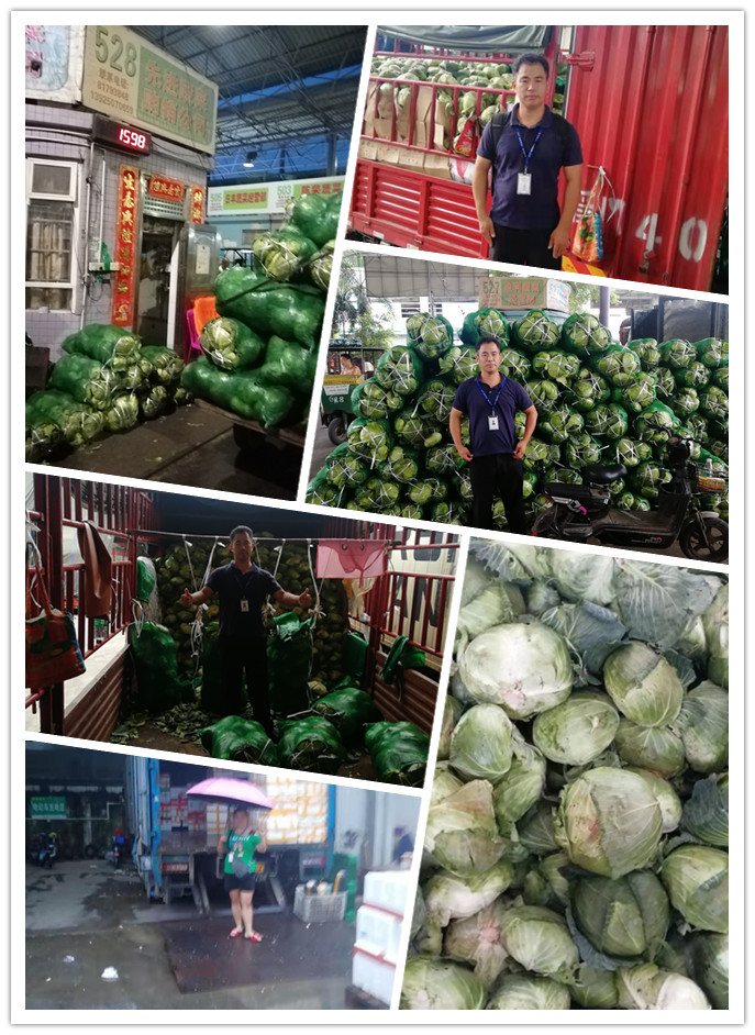 首页-PA集团有限公司官网入口