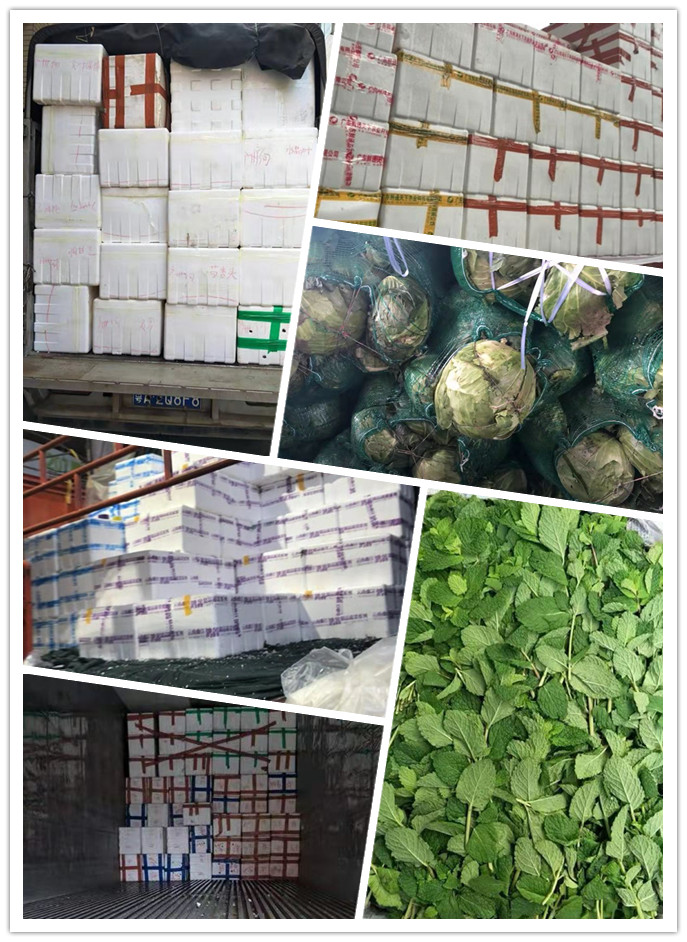 首页-PA集团有限公司官网入口