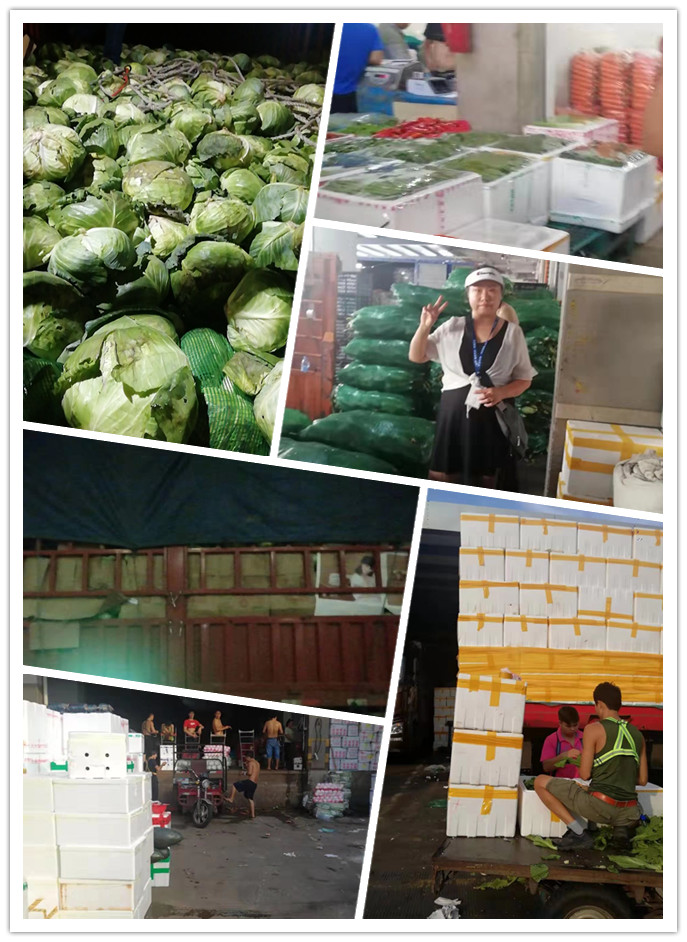 首页-PA集团有限公司官网入口