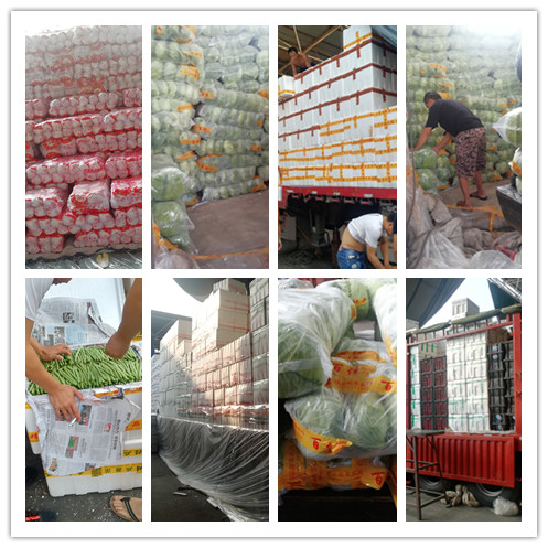 首页-PA集团有限公司官网入口