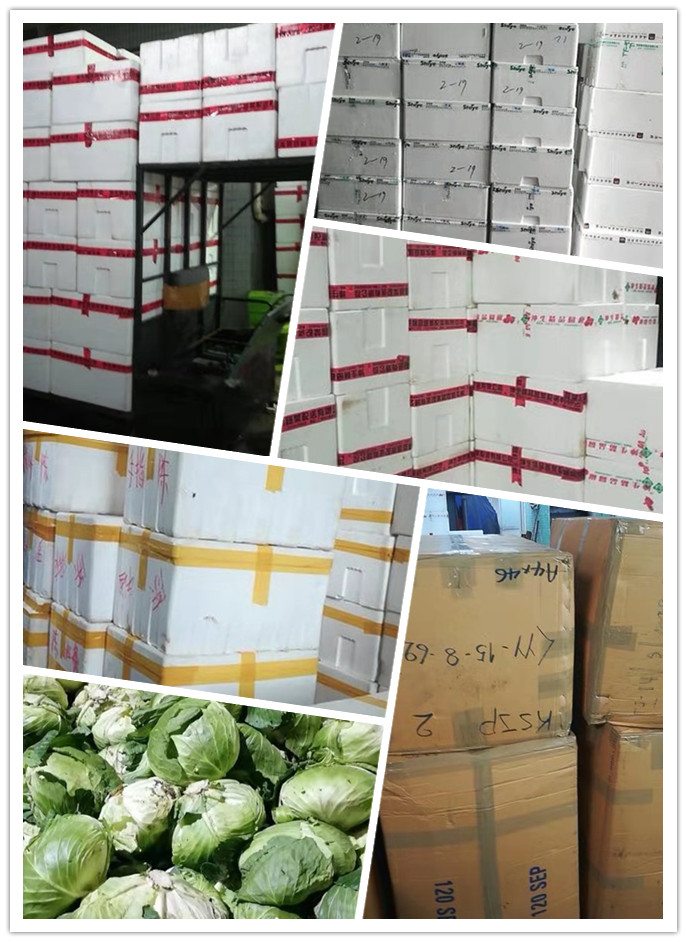 首页-PA集团有限公司官网入口