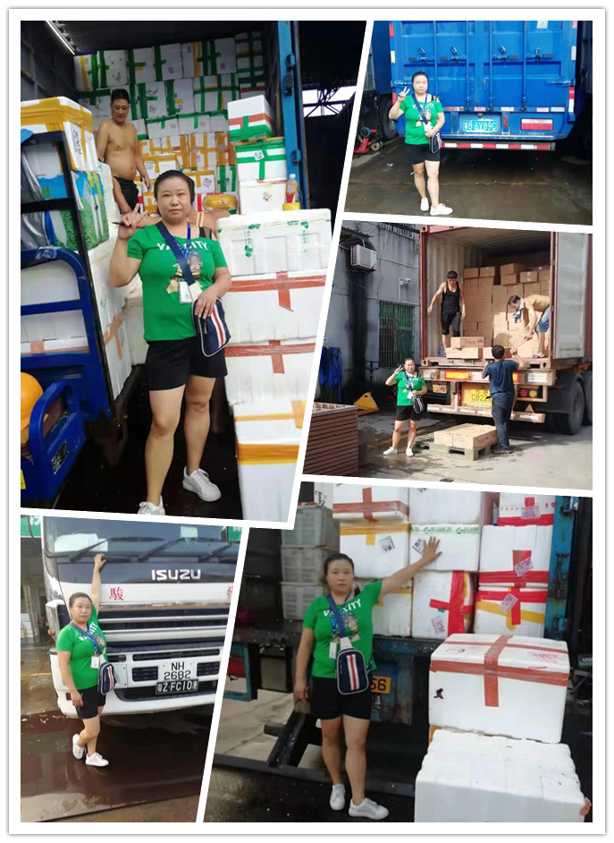 首页-PA集团有限公司官网入口