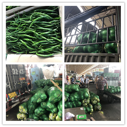 首页-PA集团有限公司官网入口