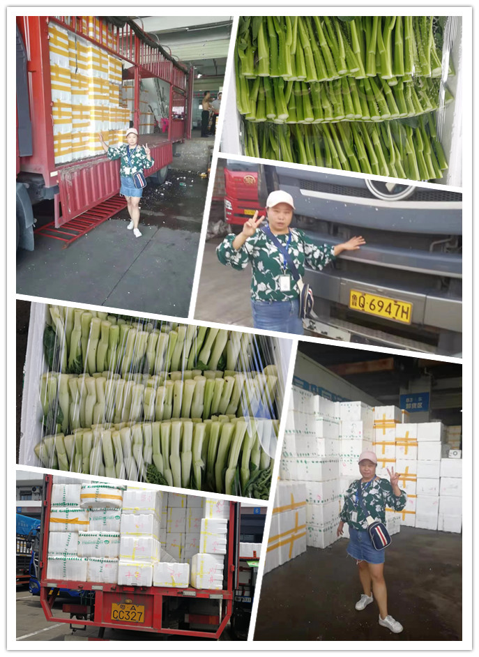 首页-PA集团有限公司官网入口