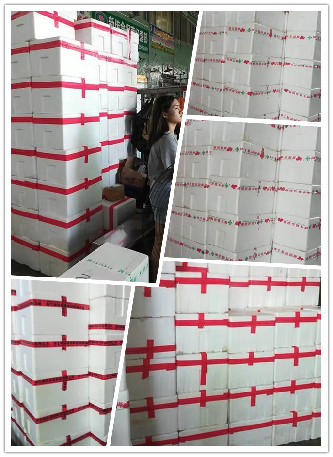 首页-PA集团有限公司官网入口