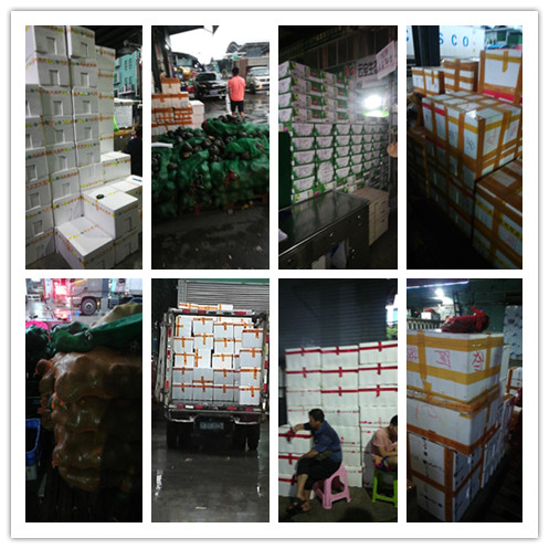 首页-PA集团有限公司官网入口