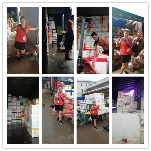 首页-PA集团有限公司官网入口