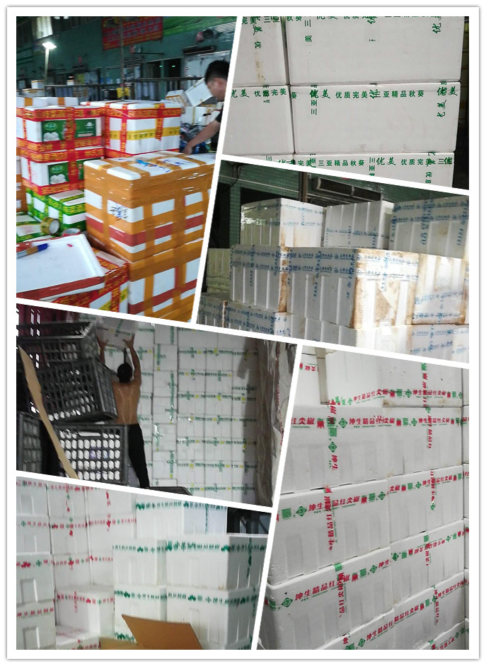 首页-PA集团有限公司官网入口