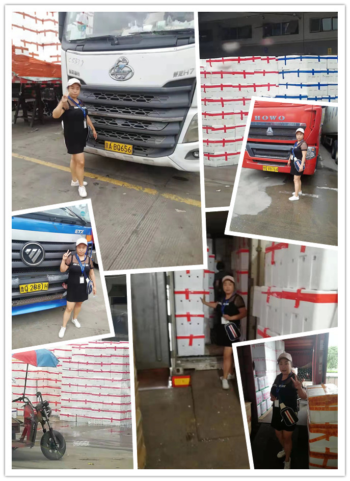 首页-PA集团有限公司官网入口