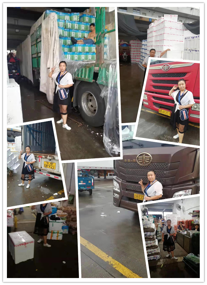 首页-PA集团有限公司官网入口