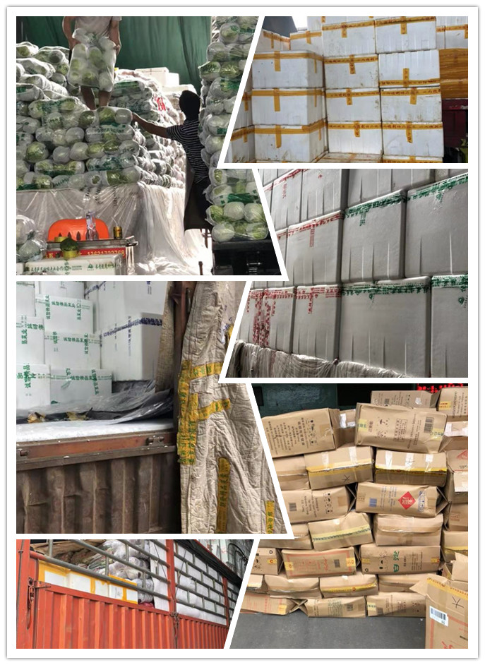 首页-PA集团有限公司官网入口