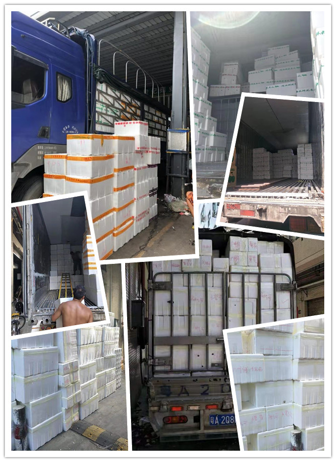 首页-PA集团有限公司官网入口