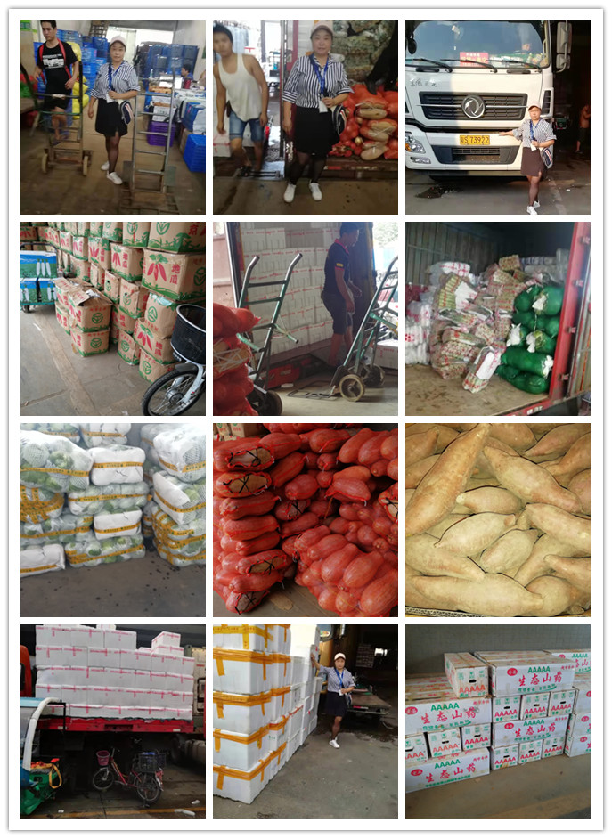 首页-PA集团有限公司官网入口