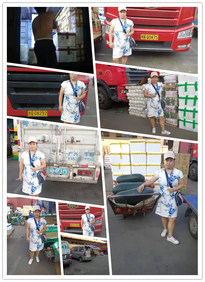 首页-PA集团有限公司官网入口