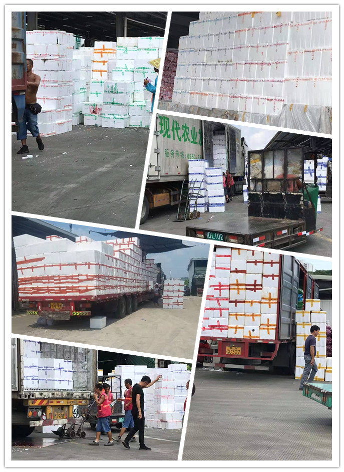 首页-PA集团有限公司官网入口