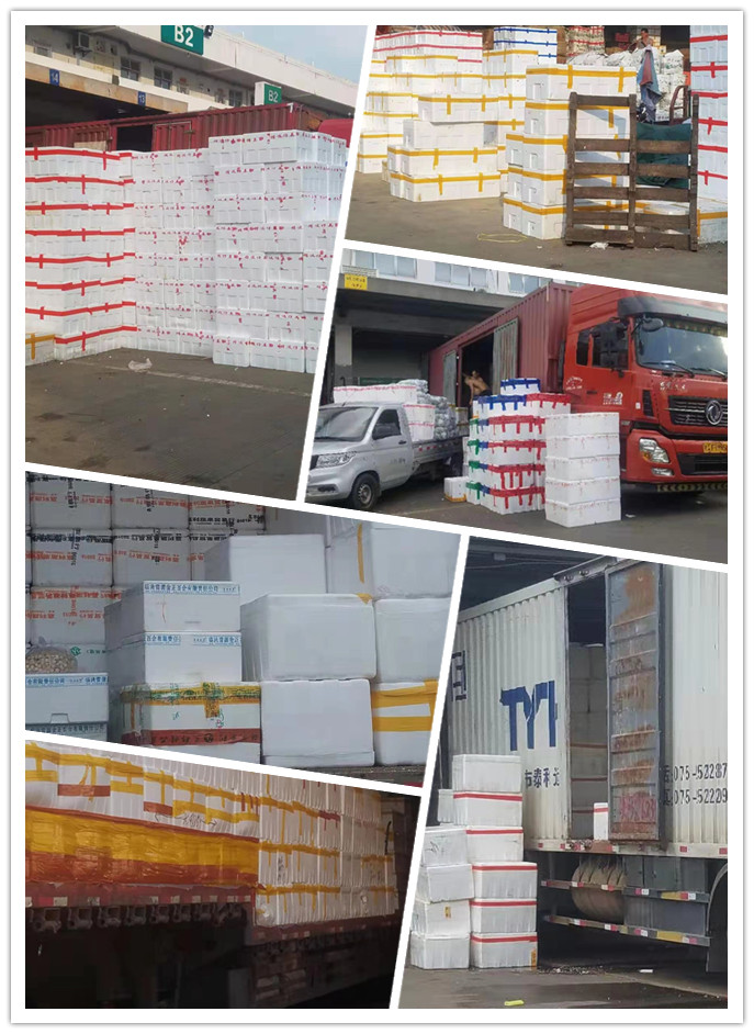 首页-PA集团有限公司官网入口