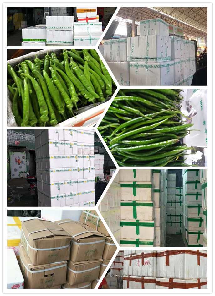 首页-PA集团有限公司官网入口