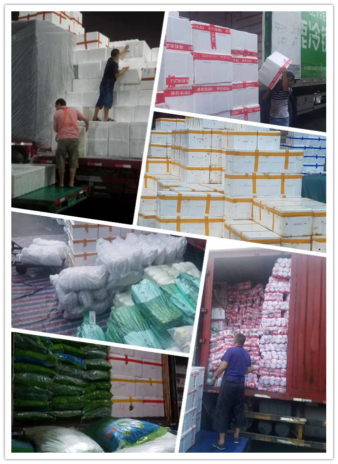 首页-PA集团有限公司官网入口