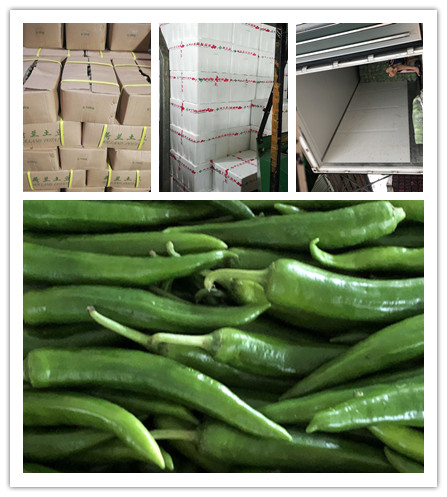 首页-PA集团有限公司官网入口