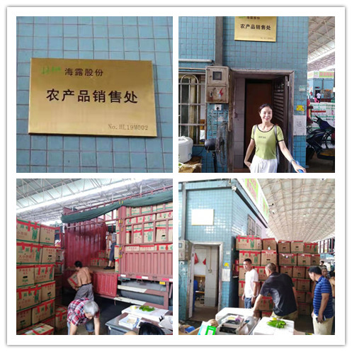 首页-PA集团有限公司官网入口