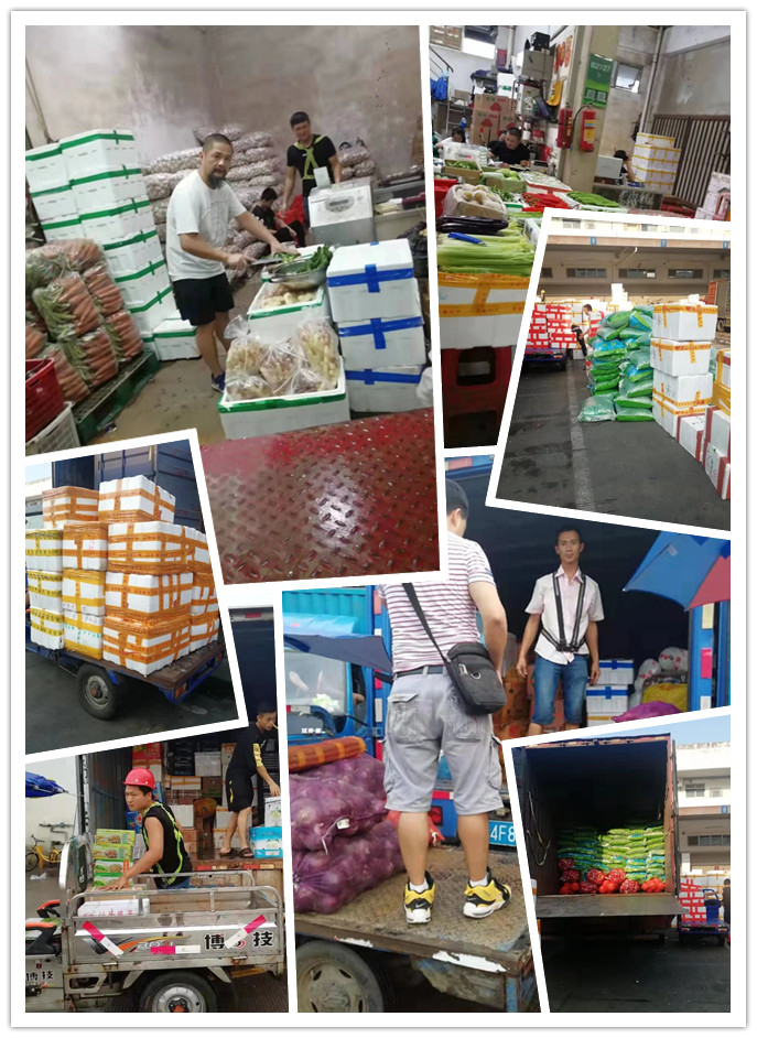 首页-PA集团有限公司官网入口