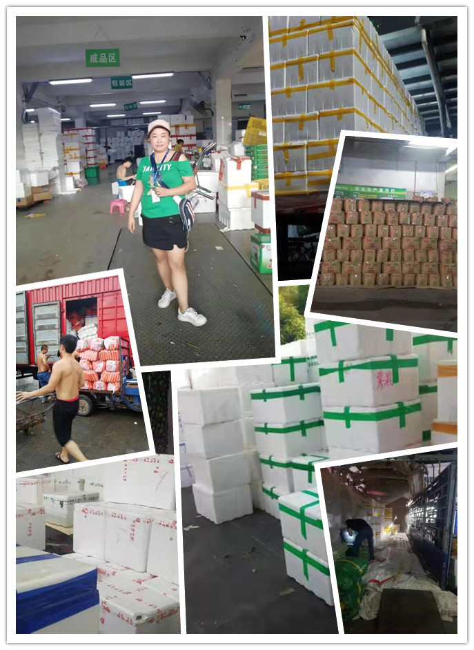 首页-PA集团有限公司官网入口