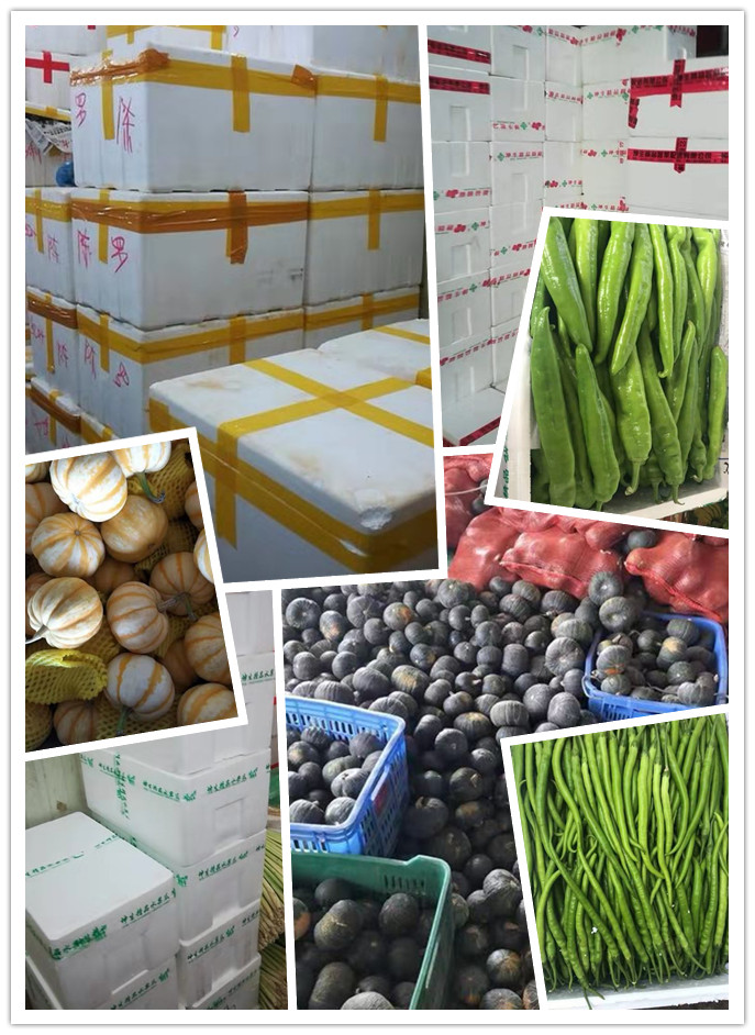 首页-PA集团有限公司官网入口