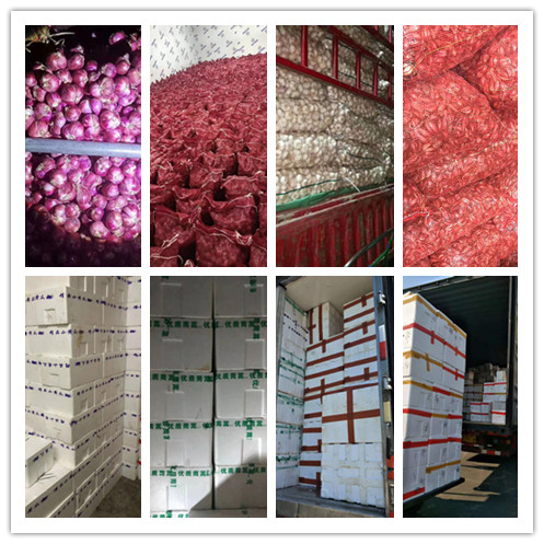 首页-PA集团有限公司官网入口