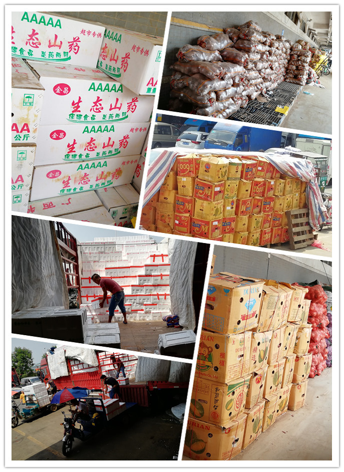 首页-PA集团有限公司官网入口