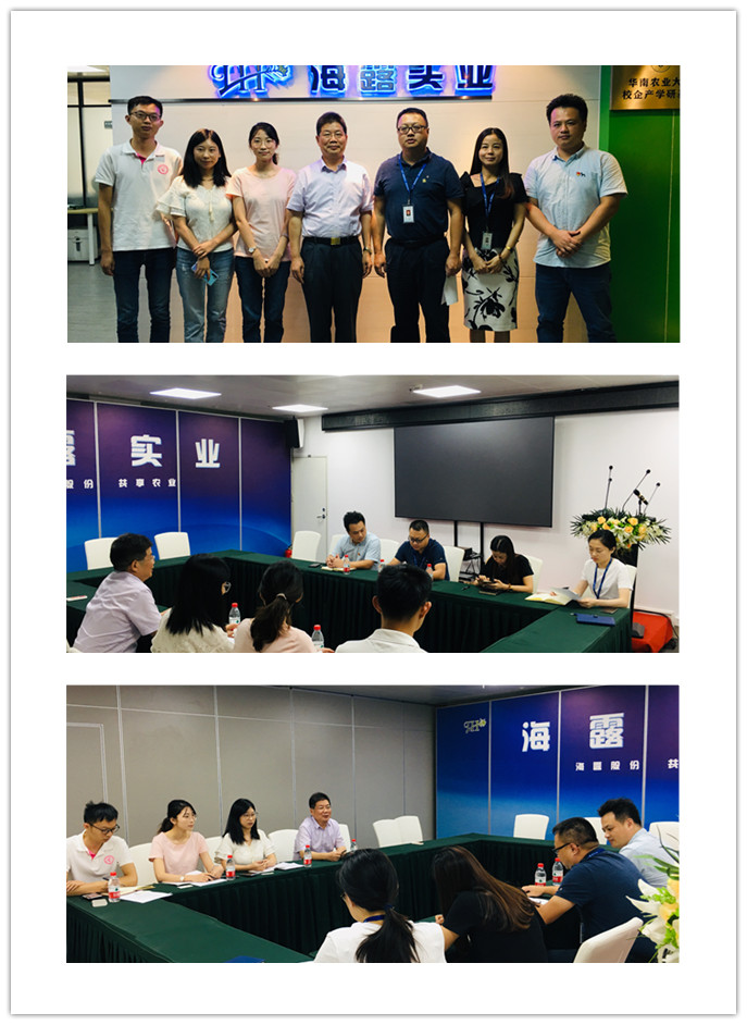 首页-PA集团有限公司官网入口