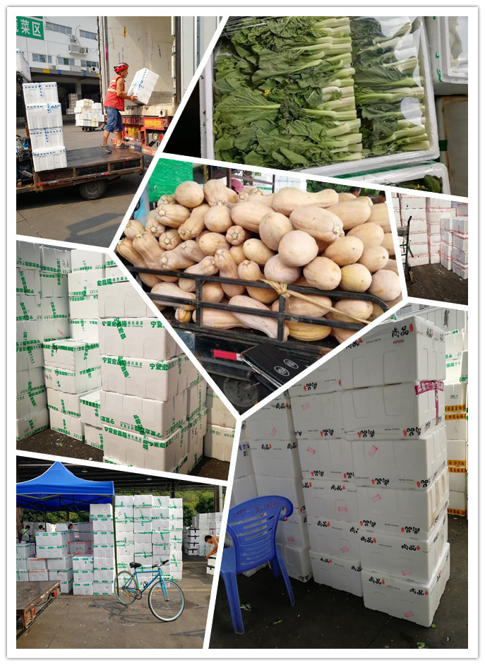 首页-PA集团有限公司官网入口