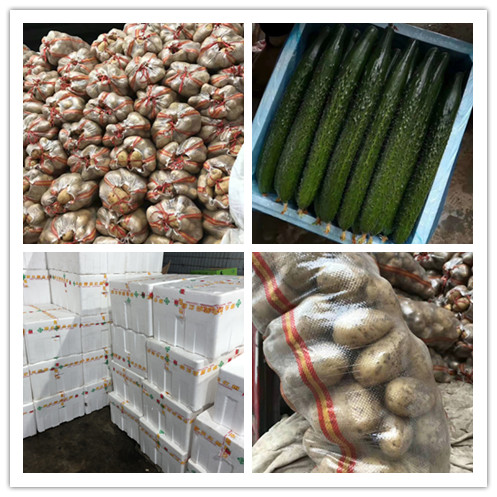 首页-PA集团有限公司官网入口