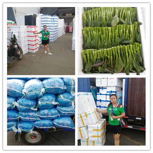 首页-PA集团有限公司官网入口