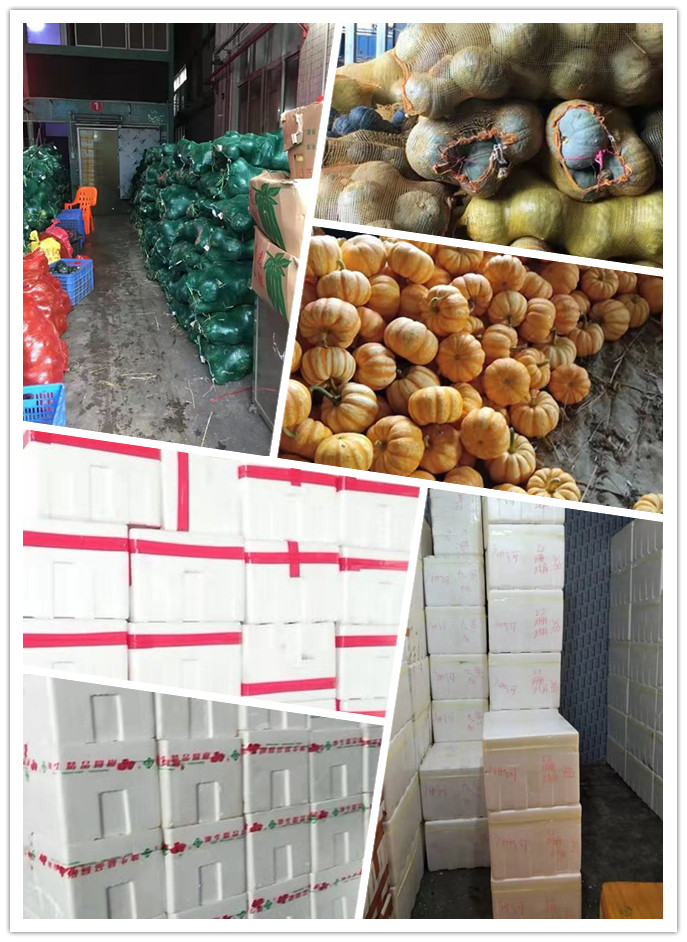 首页-PA集团有限公司官网入口