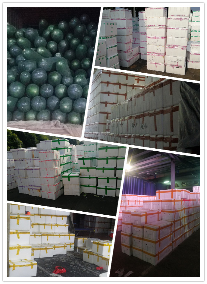 首页-PA集团有限公司官网入口